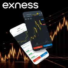 Di mana server Exness berada?